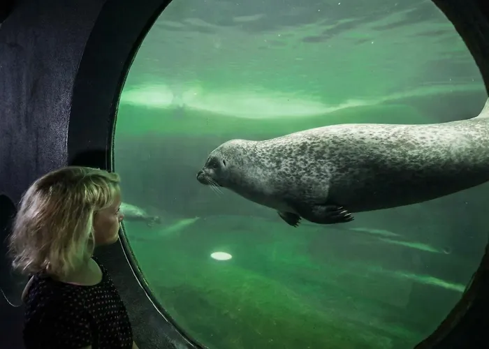 Penthouse - 3br - Views - Walk To Everything *